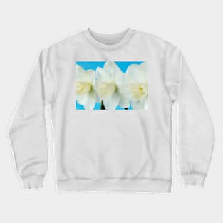 Narcissus  &#39;Misty Glen&#39;  AGM    Division 2 Large-cupped Daffodil Crewneck Sweatshirt